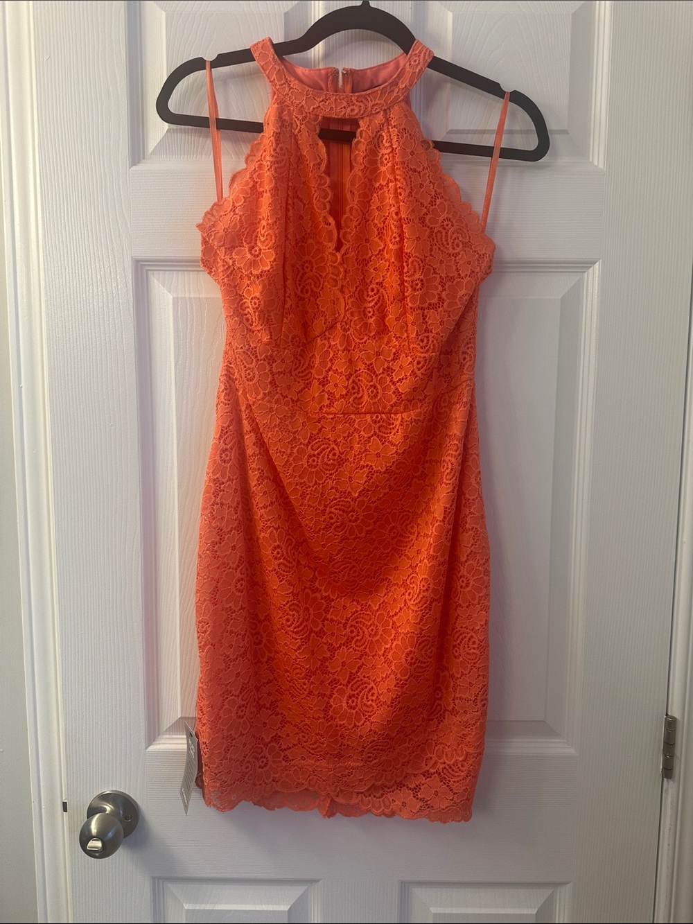 le chateau Coral Lace Halter Mini Dress